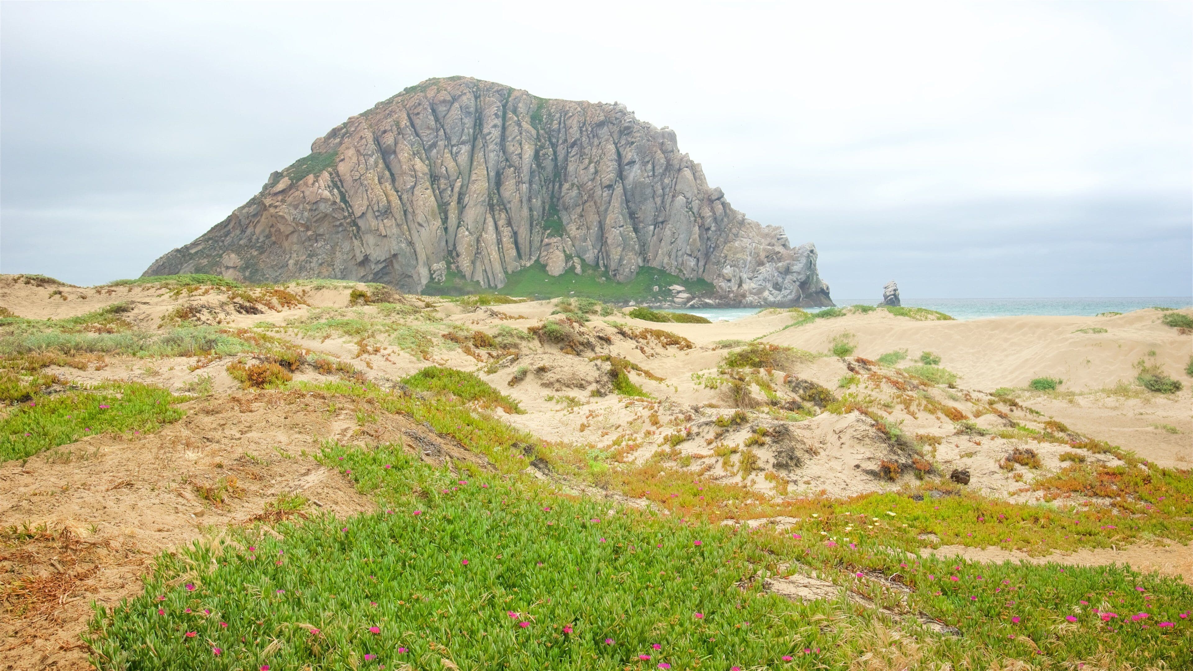 Morro Bay showing tranquil scenes