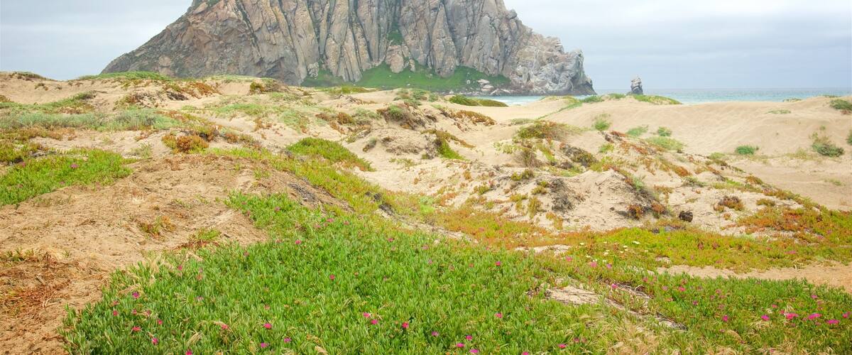 Morro Bay showing tranquil scenes