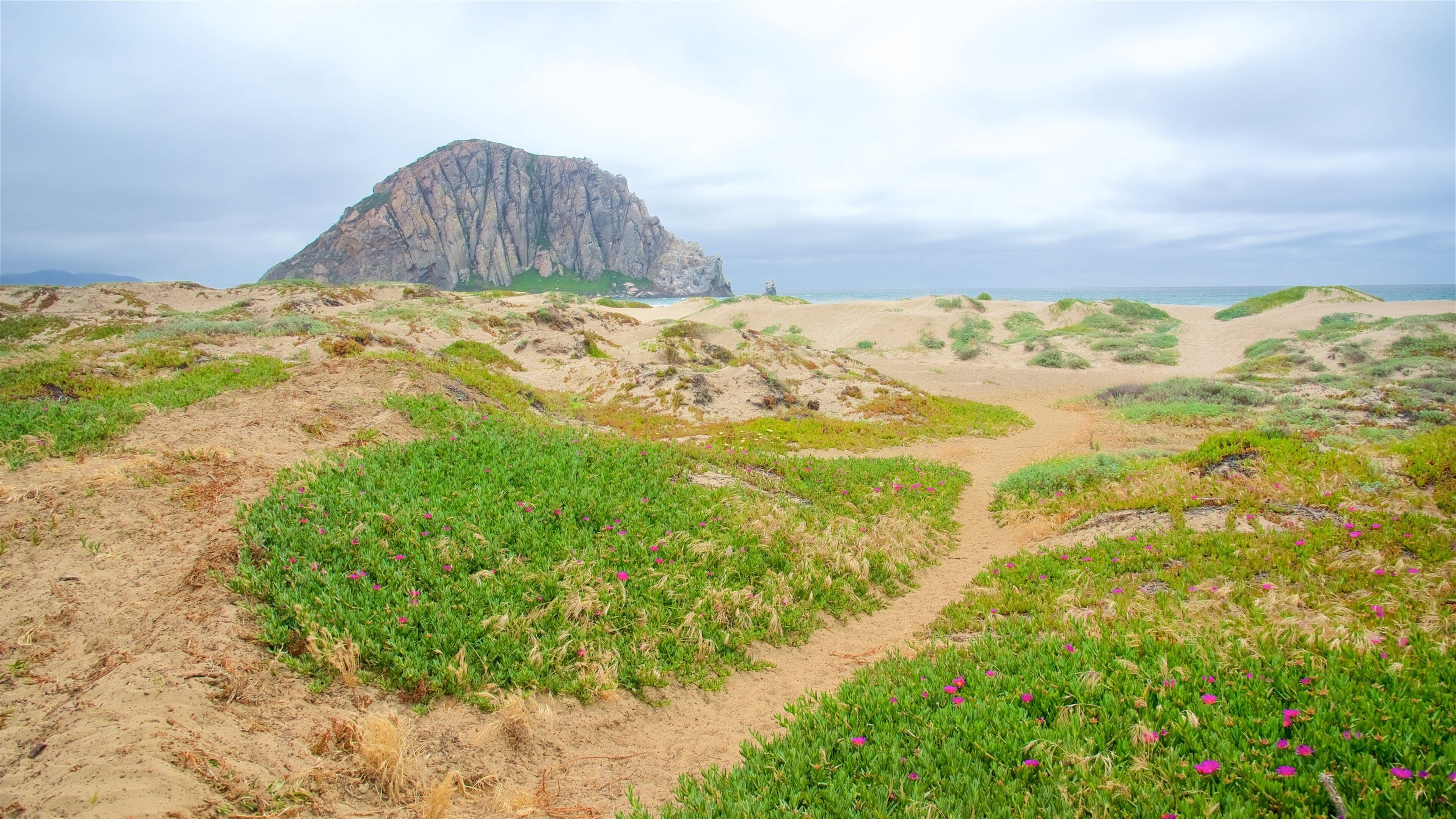 Morro Bay inclusief vredige uitzichten en bergen