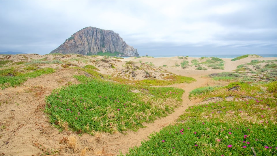 A coastal landscape with a prominent rocky hill, green vegetation, and a sandy path leading towards the sea.