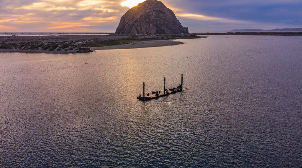 Morro bay, California, aerial view of the Morro Bay rock and of sea lions lying on a wooden dock in the middle of the bay. Sunset, cloudy sky, colorfu