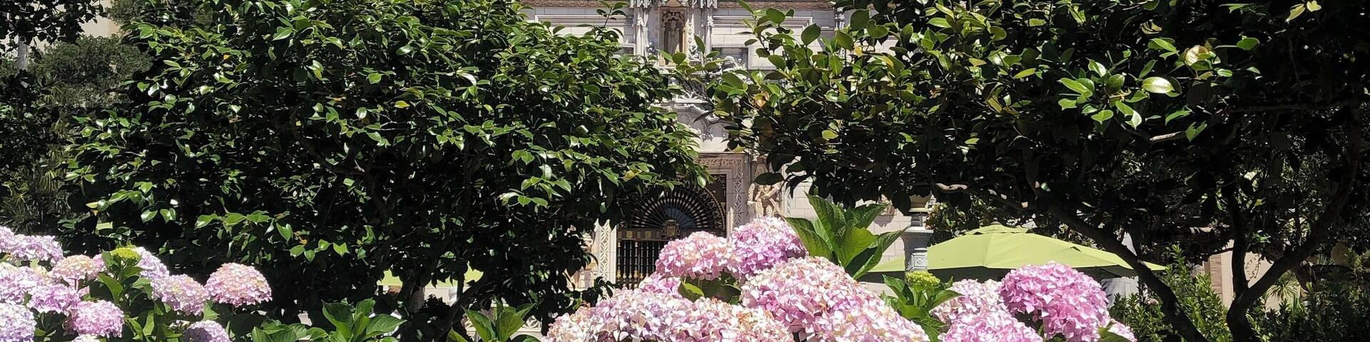 Hearst castle is huge, sitting on top of a hill high above everything else with too much land #adventure