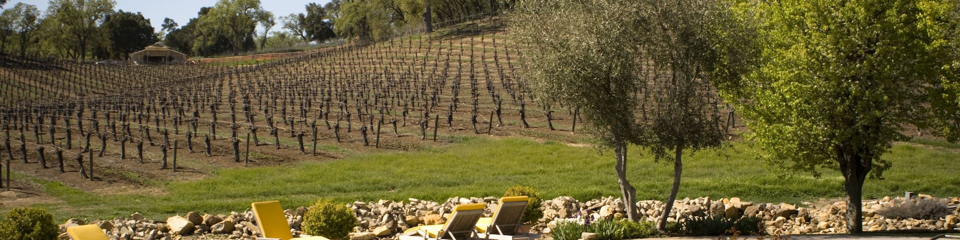 B1CFX0 Vineyards patio and pool at Justin winery Paso Robles California