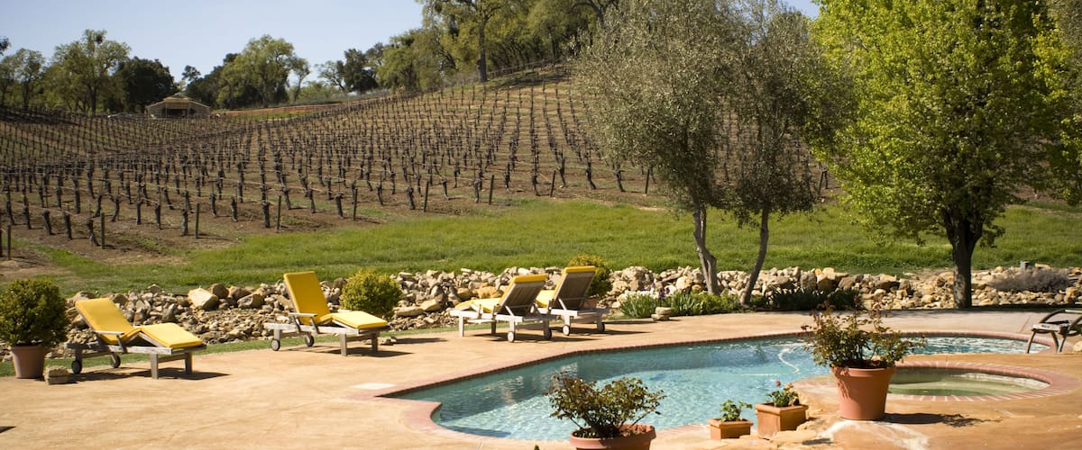 A vineyard, a swimming pool, and outdoor lounge chairs.