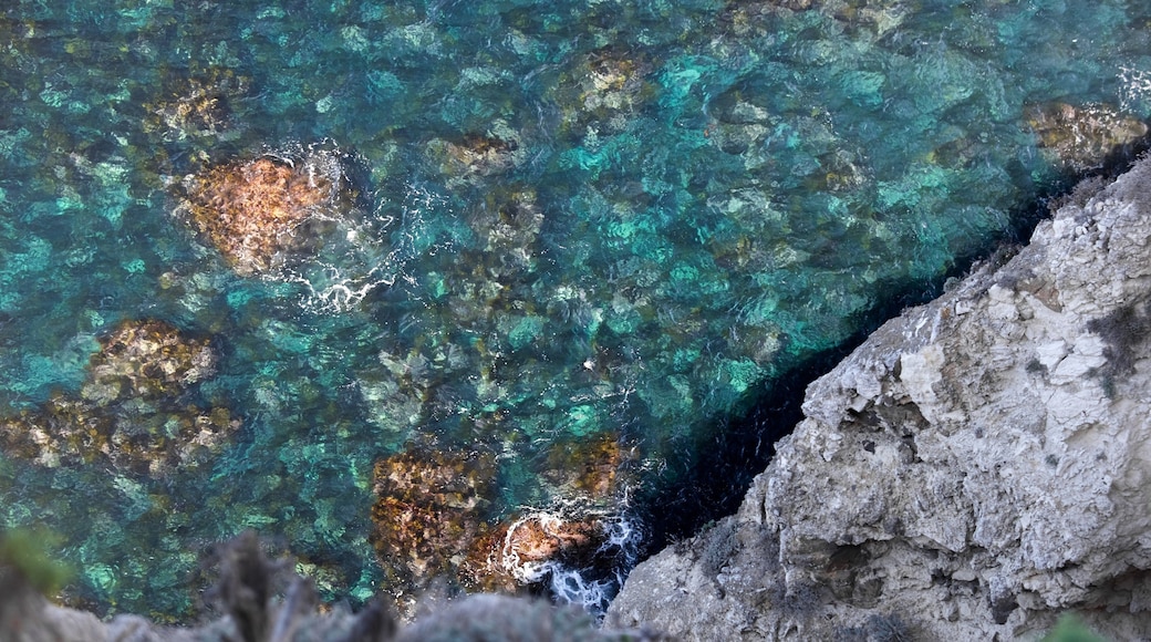 Channel Islands National Park which includes rugged coastline and general coastal views