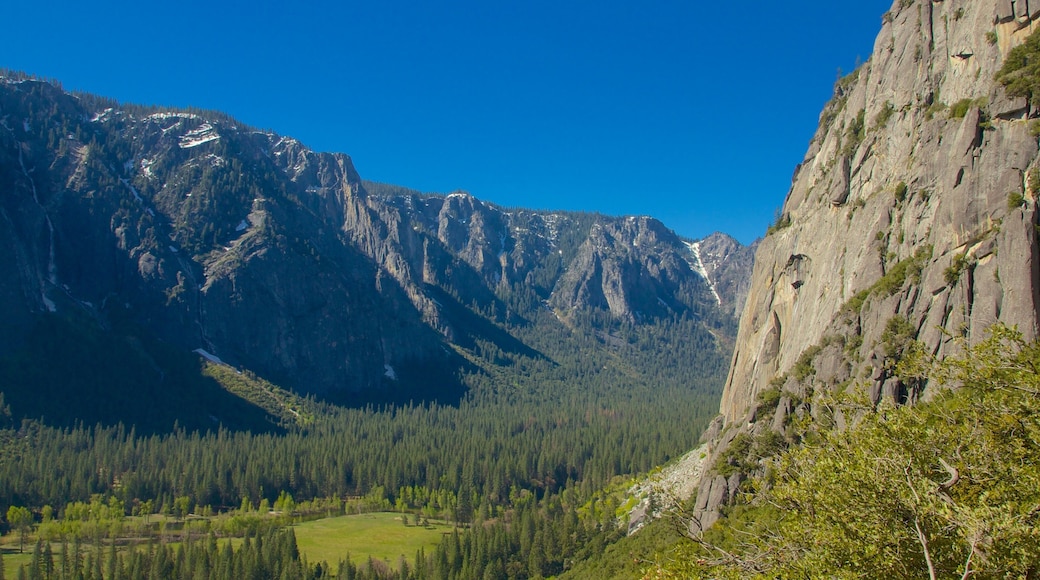 Yosemite Valley featuring mountains