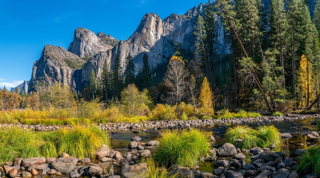 Parco Nazionale di Yosemite