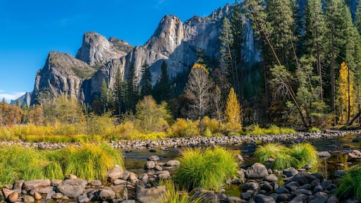 Parque Nacional Yosemite
