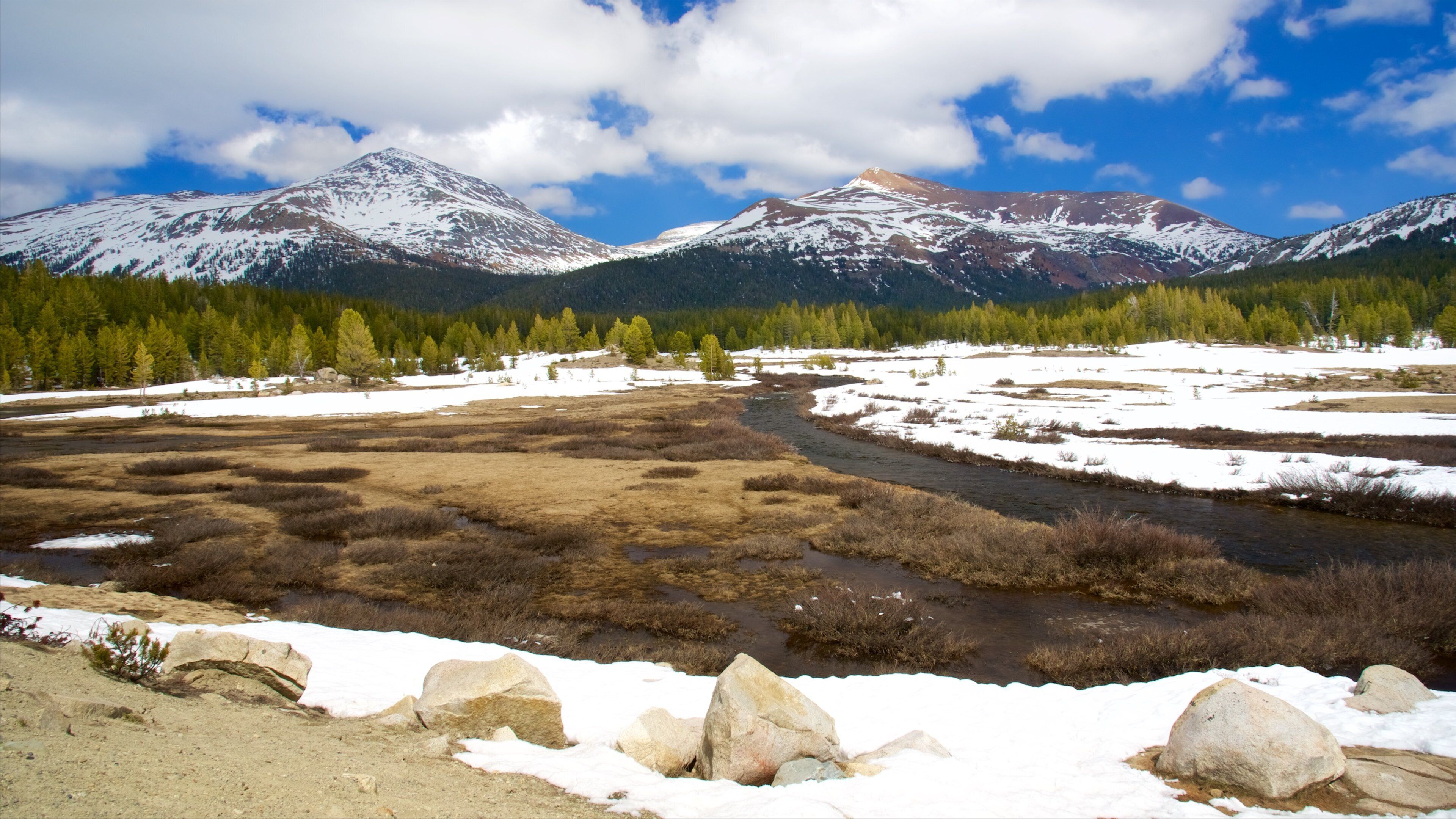 Tuolumne Meadows featuring snow and tranquil scenes