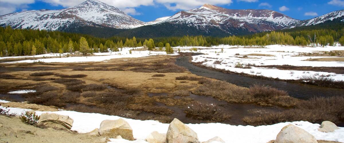 Tuolumne Meadows featuring snow and tranquil scenes