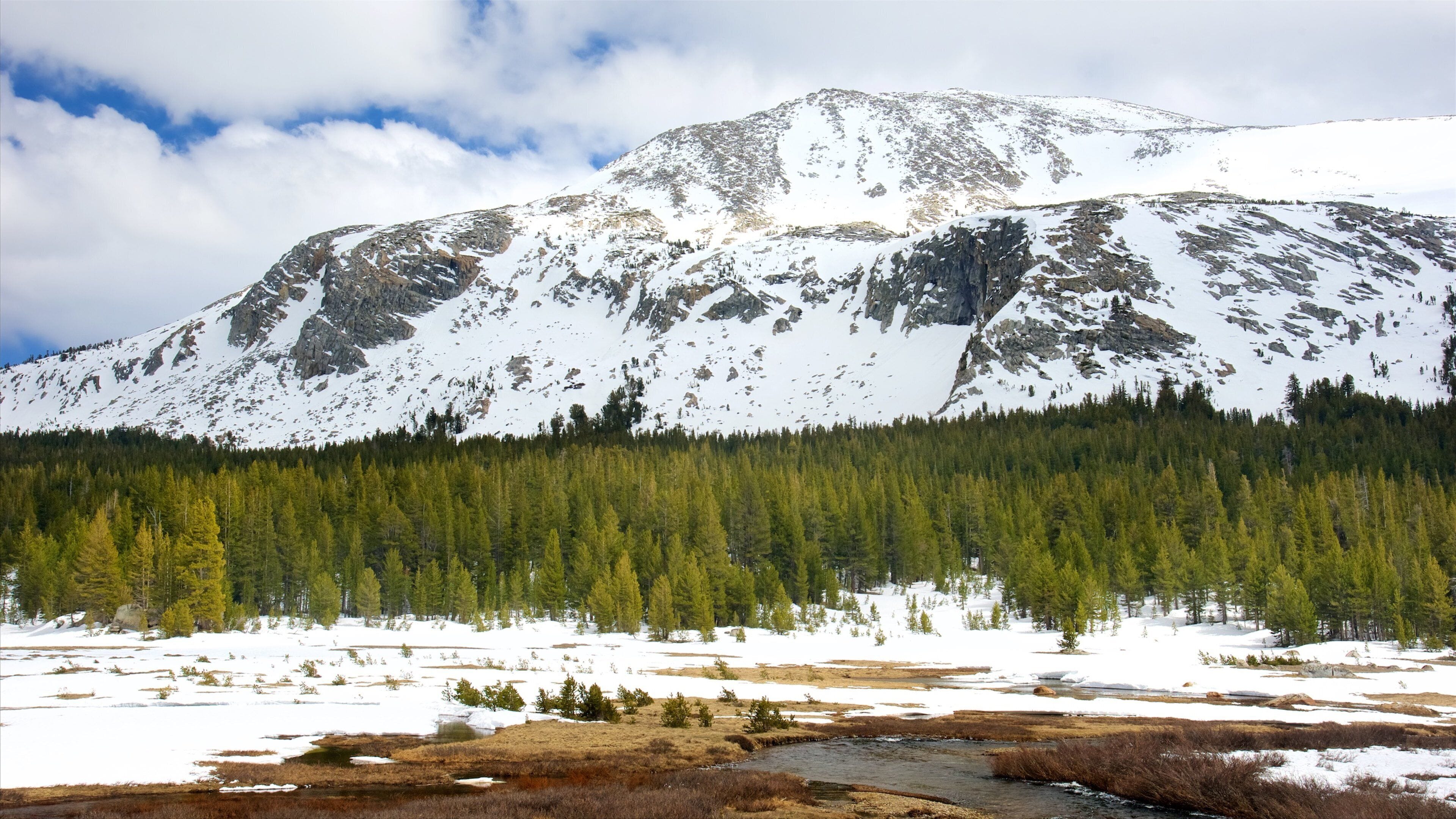 Tuolumne Meadows featuring mountains, snow and tranquil scenes