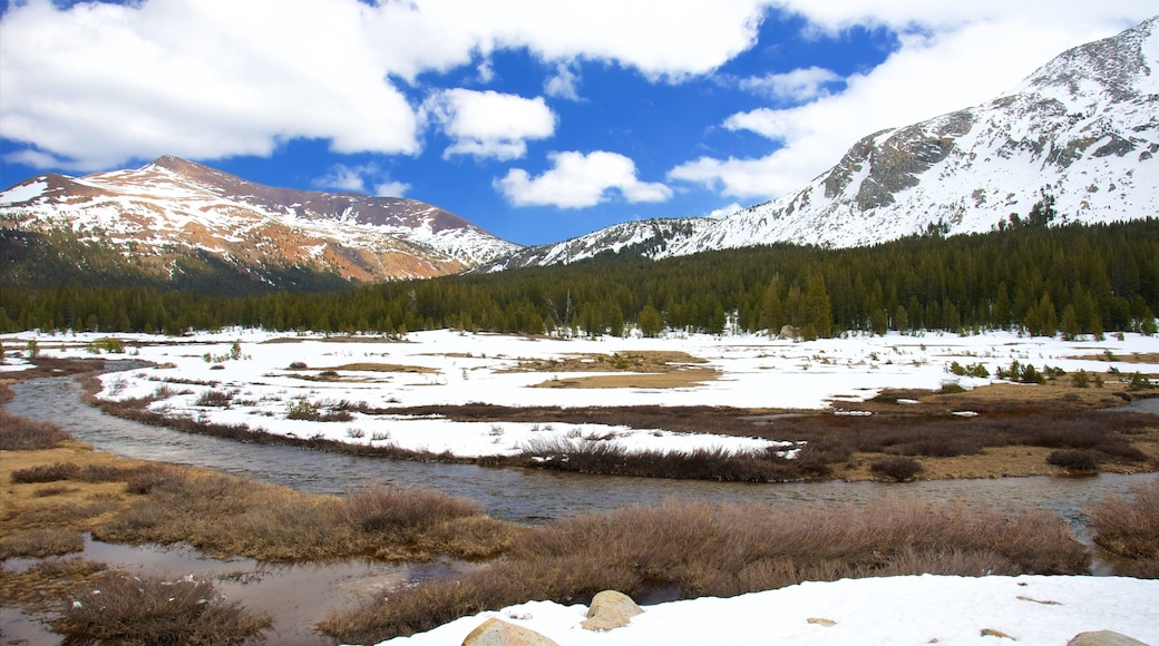 Tuolumne Meadows showing snow and tranquil scenes