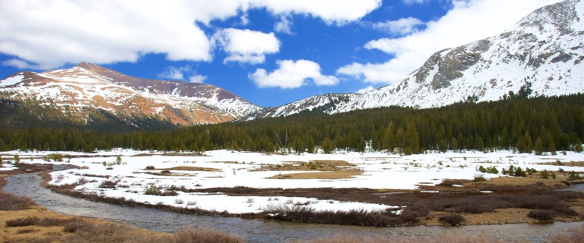Tuolumne Meadows