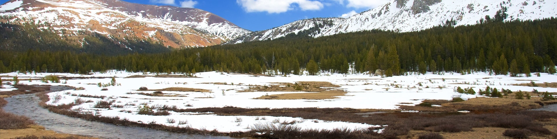Tuolumne Meadows showing snow and tranquil scenes