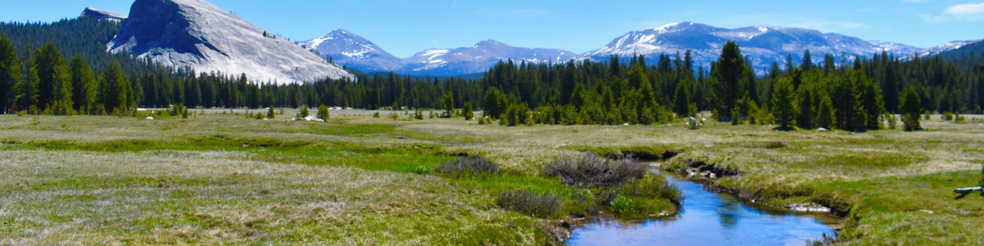 Tuolomne Meadow and view of Lembert Dome // Yosemite National Park, CA #trovember