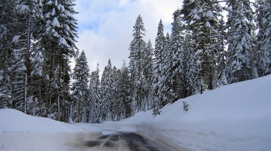 Glacier Point Drive in the middle winter can be fun. Like 12 feet of snow banks. #Snow