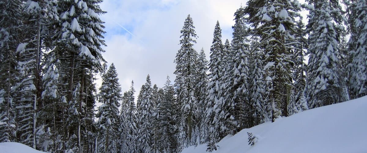 Glacier Point Drive in the middle winter can  be fun.  Like 12 feet of snow banks.  #Snow