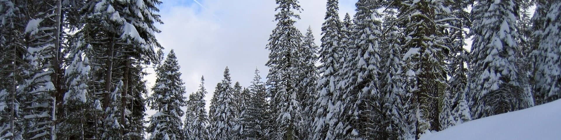 Glacier Point Drive in the middle winter can be fun. Like 12 feet of snow banks. #Snow