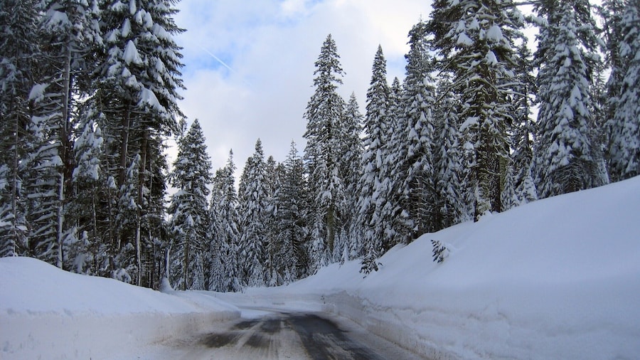 Glacier Point Drive in the middle winter can be fun. Like 12 feet of snow banks. #Snow