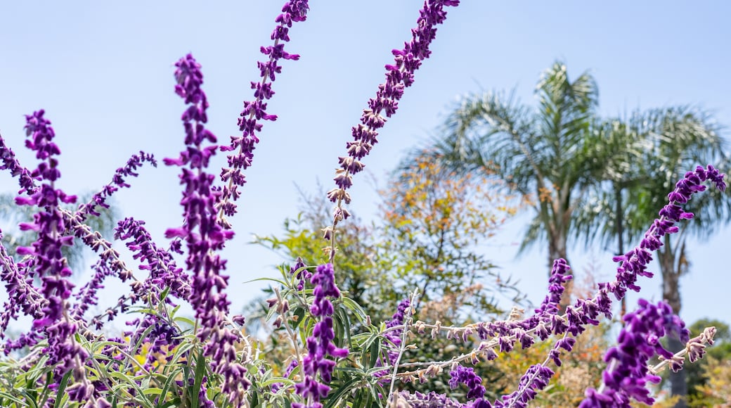Gardens at Heather Farm