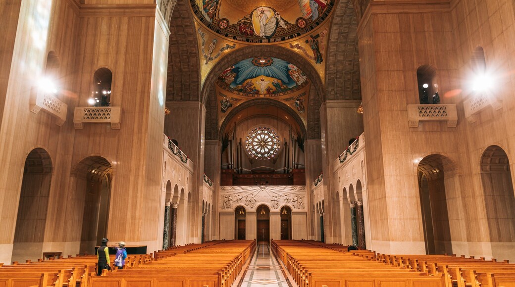 Basilica of the National Shrine of the Immaculate Conception which includes a church or cathedral, heritage architecture and heritage elements