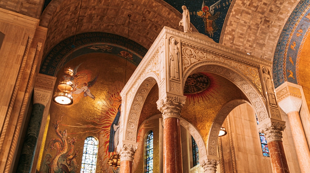 Basilica of the National Shrine of the Immaculate Conception showing interior views, a church or cathedral and heritage elements