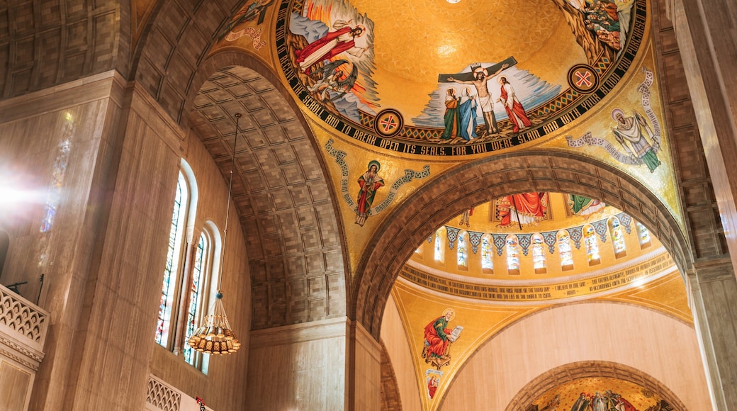 Basilica of the National Shrine of the Immaculate Conception which includes art, a church or cathedral and heritage elements