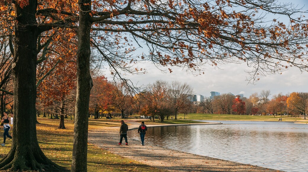 Constitution Gardens featuring a park, a lake or waterhole and fall colors