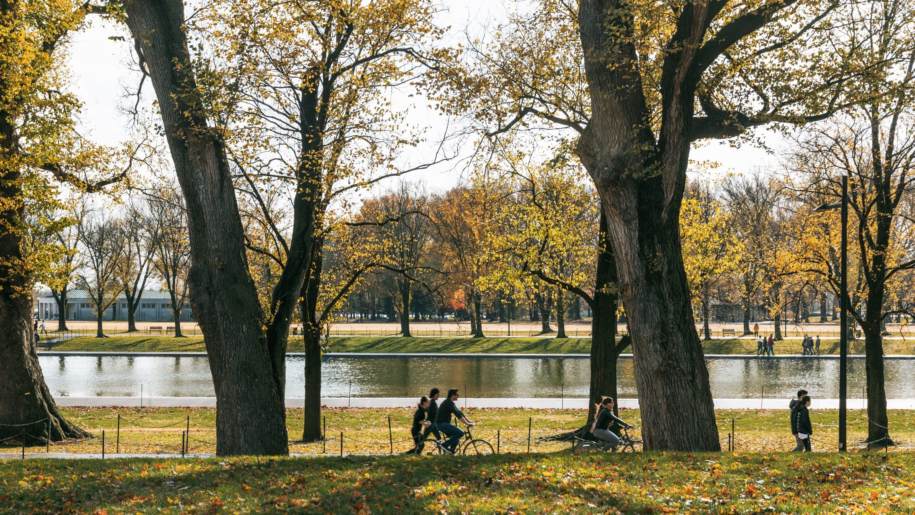 Constitution Gardens featuring fall colors, a pond and a park