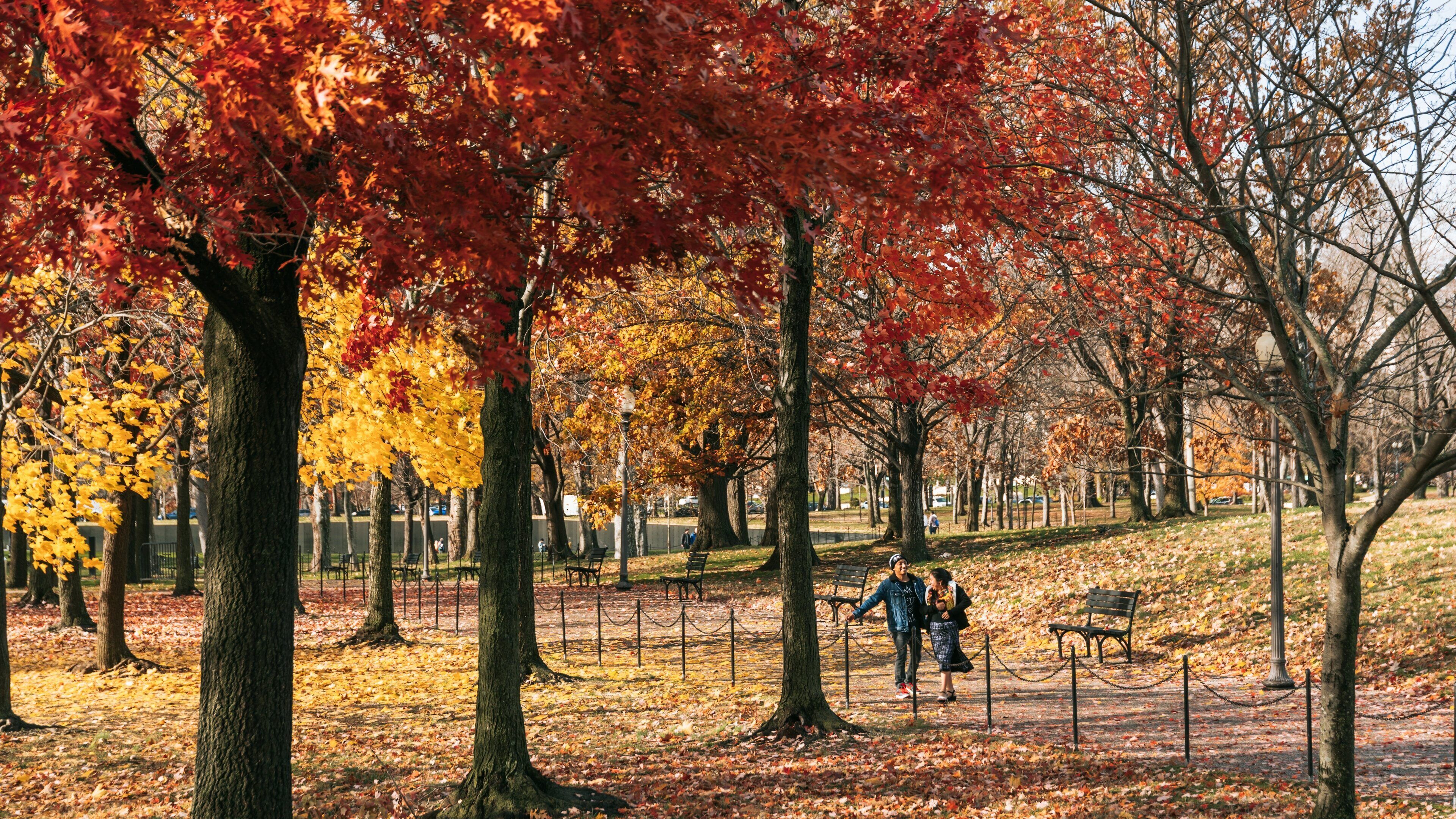 Constitution Gardens showing fall colors and a park as well as a couple