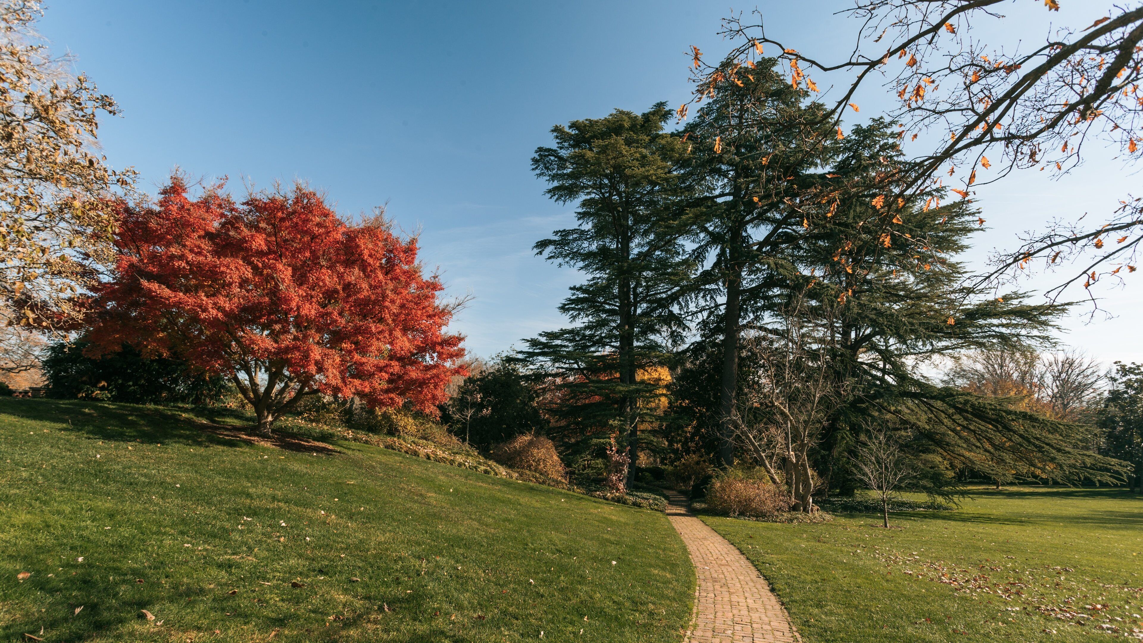 Dumbarton Oaks featuring a park