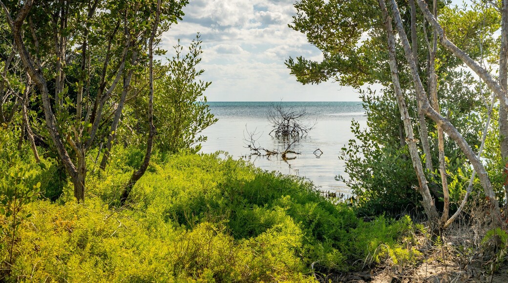 Long Key which includes general coastal views