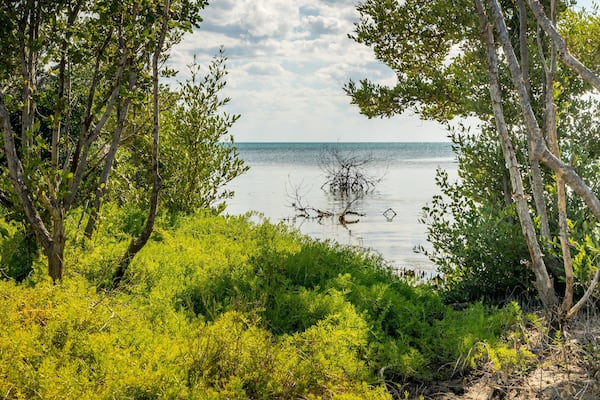 Long Key which includes general coastal views