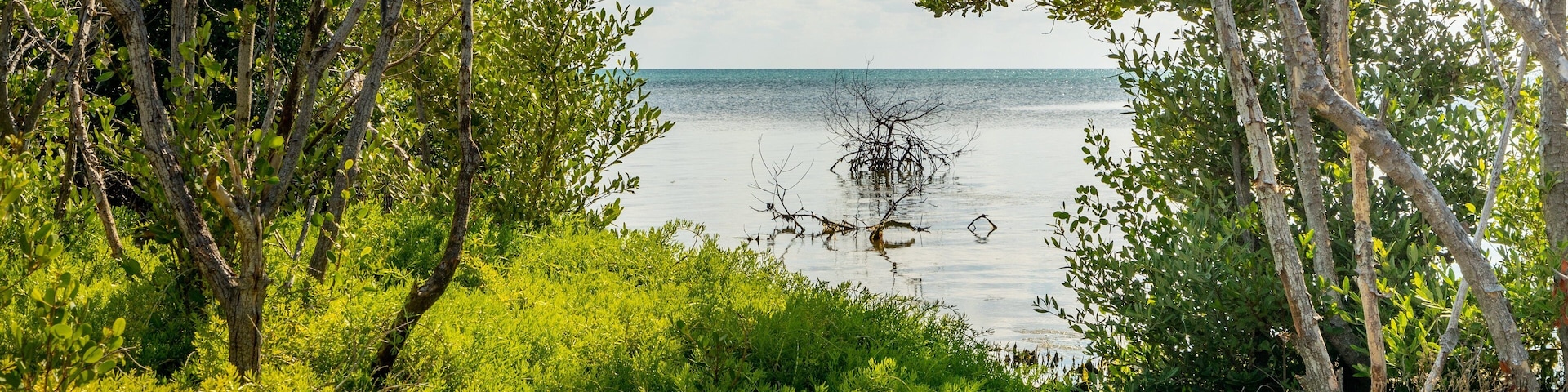 Long Key which includes general coastal views