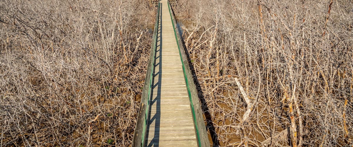Long Key which includes a bridge and a park