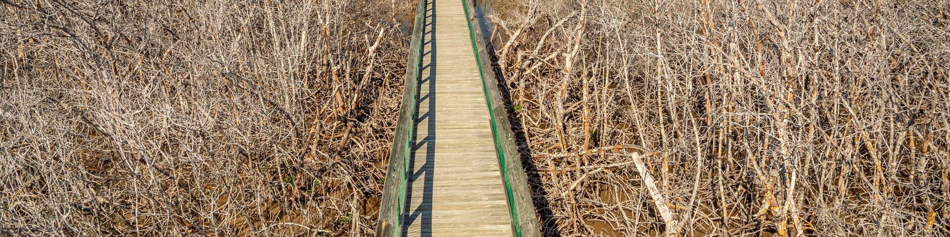 Long Key which includes a bridge and a park