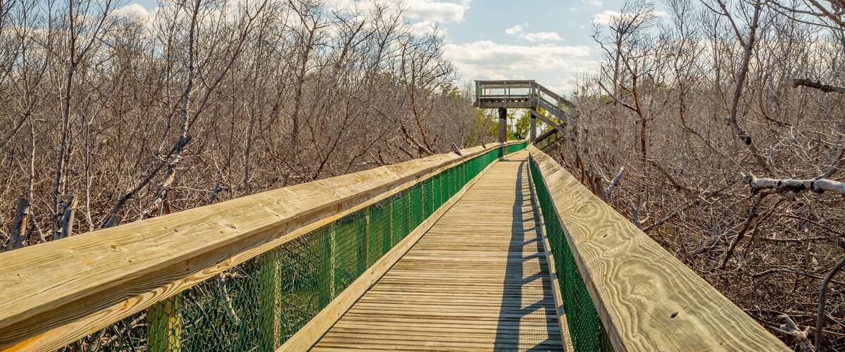 Long Key showing a bridge