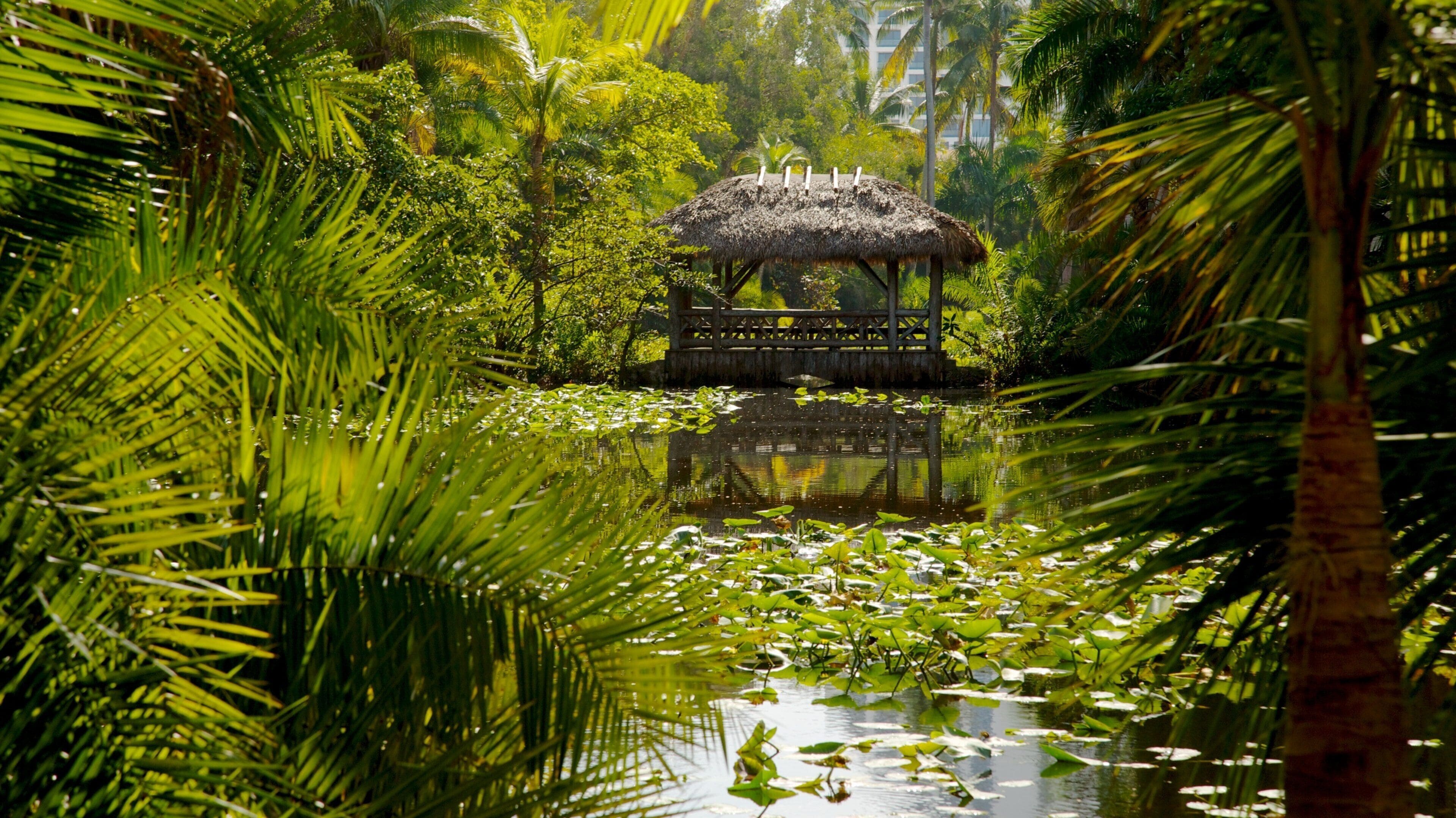 Bonnet House Museum and Gardens