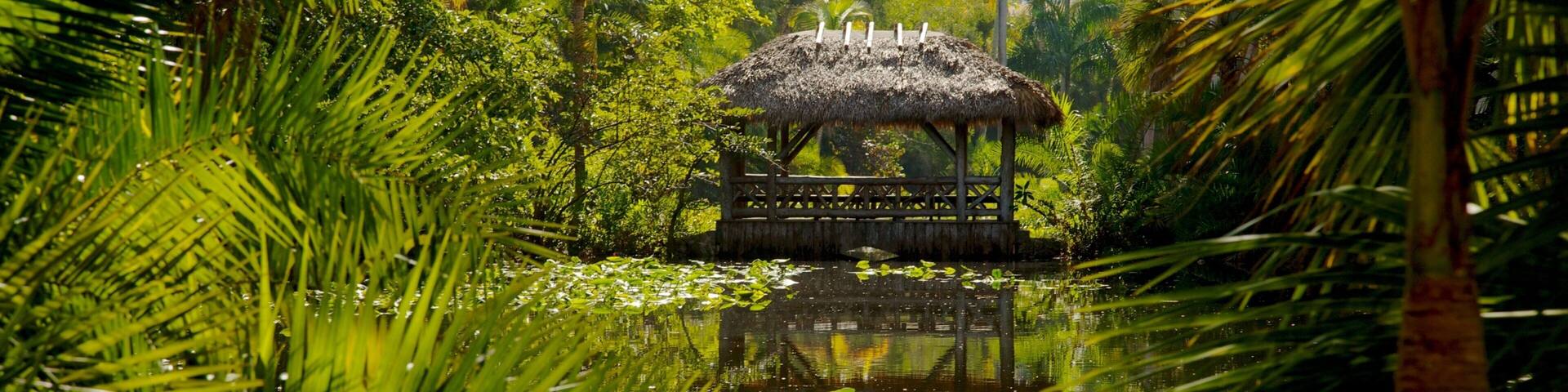 Explore the serene beauty of Bonnet House Museum and Gardens in Fort Lauderdale, Florida with lush greenery and tranquil waters