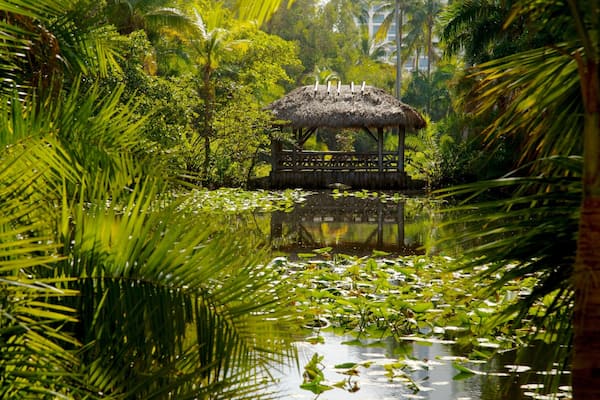 Bonnet House Museum and Gardens featuring a pond, tropical scenes and rainforest