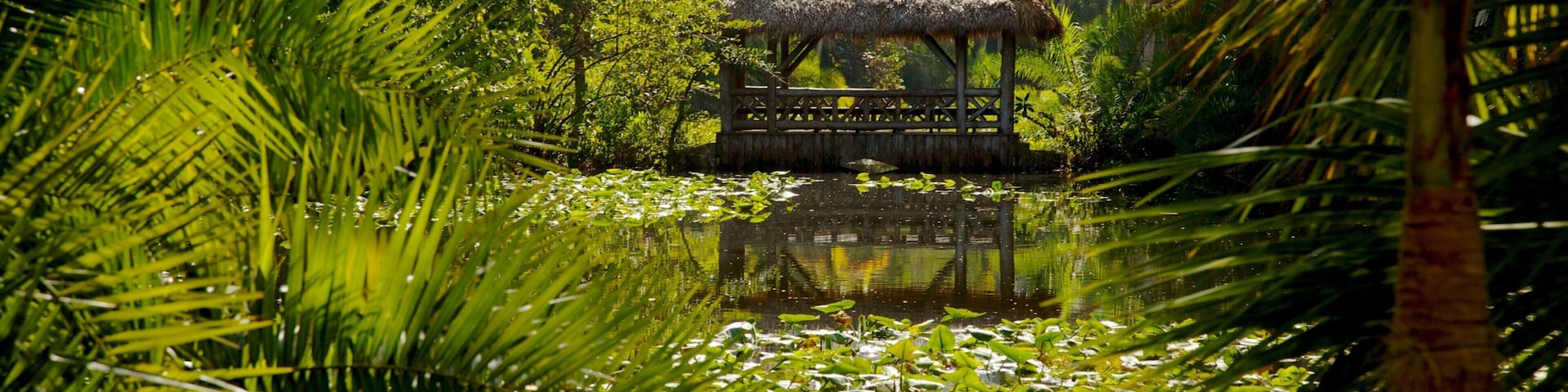 Explore the serene beauty of Bonnet House Museum and Gardens in Fort Lauderdale, Florida with lush greenery and tranquil waters