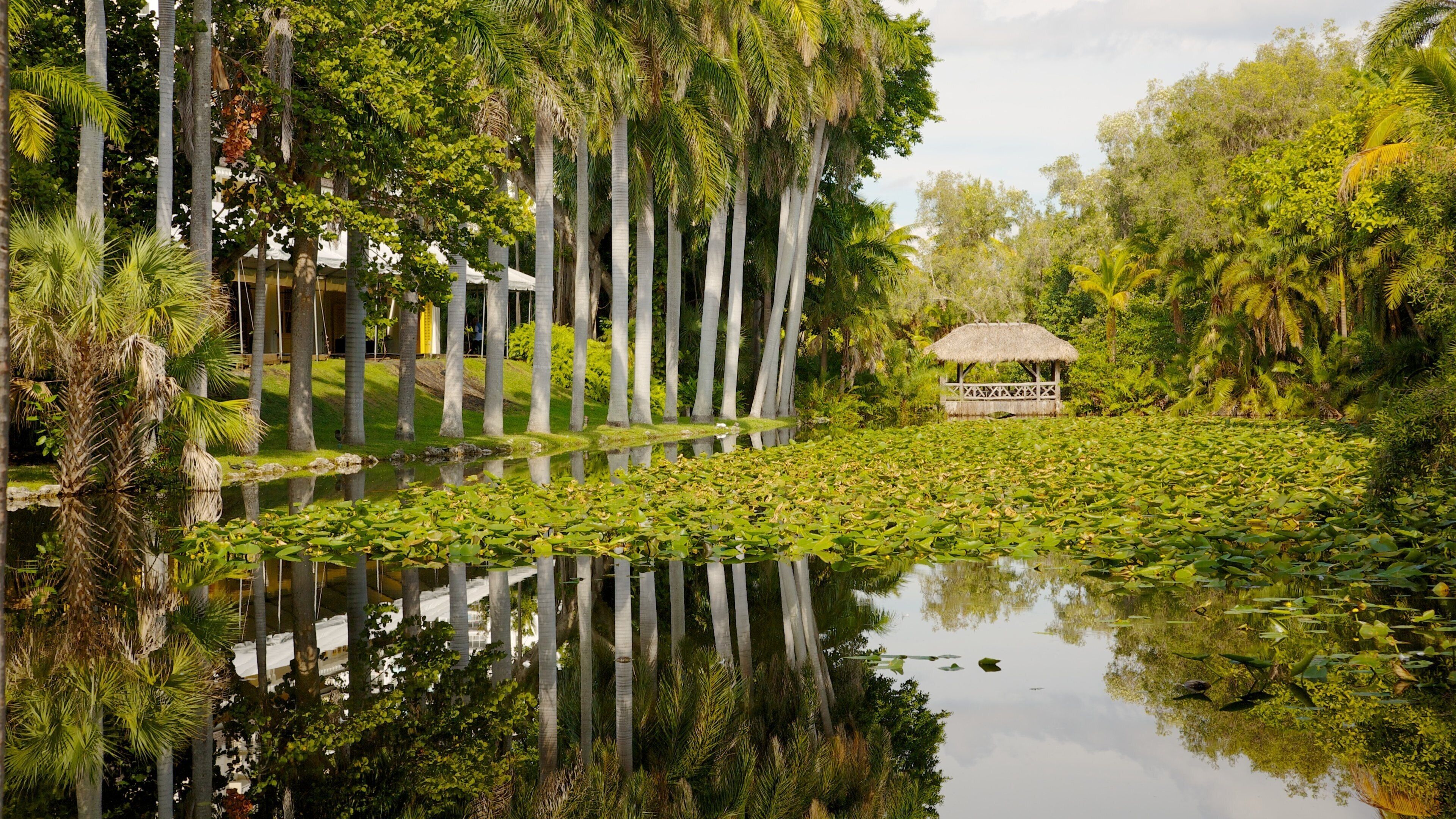 Fort Lauderdale som omfatter en have, en dam og tropiske områder