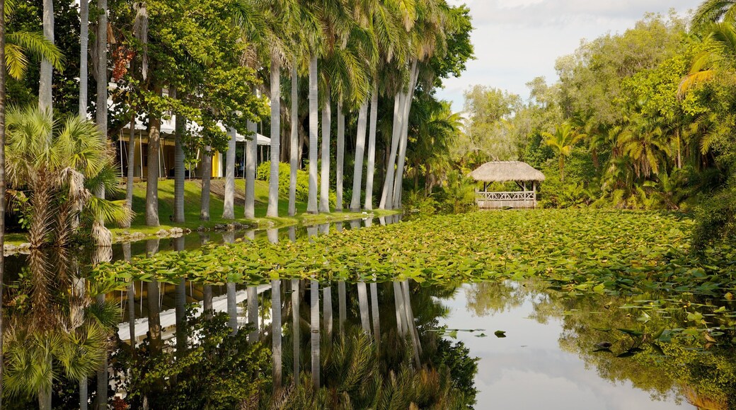 Fort Lauderdale som omfatter en have, en dam og tropiske områder