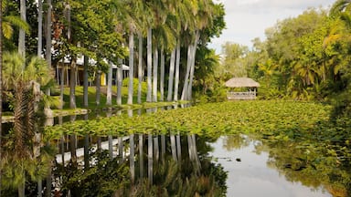 Fort Lauderdale joka esittää trooppiset näkymät, puutarha ja maisemat