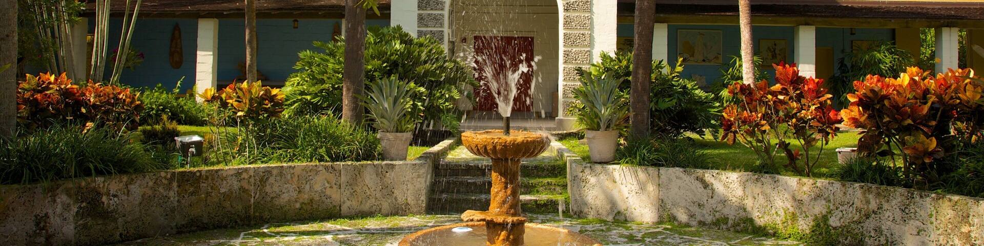 A courtyard with a central fountain, palm trees, and a building with a distinctive arched entrance.