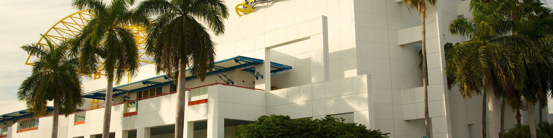 Museum of Discovery and Science mostrando cenas de rua