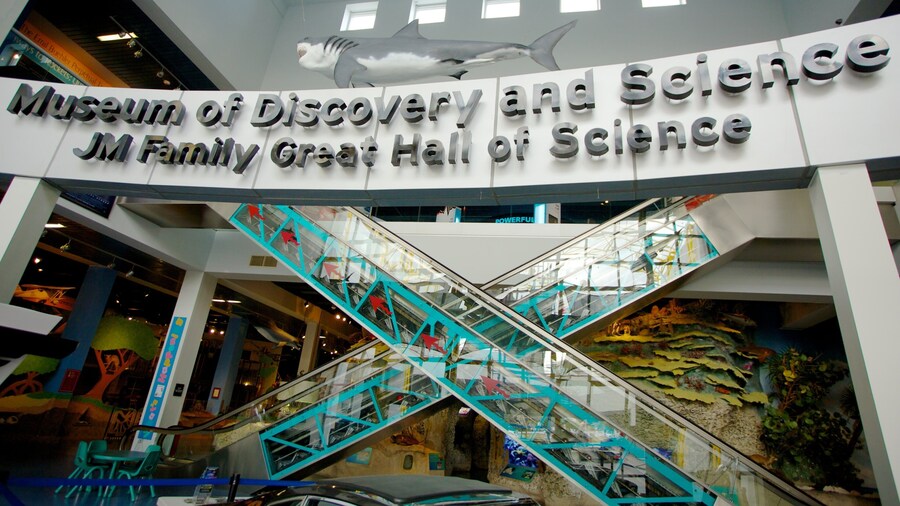 Discover science at the Museum of Discovery and Science in Fort Lauderdale, Florida, with engaging exhibits and interactive displays