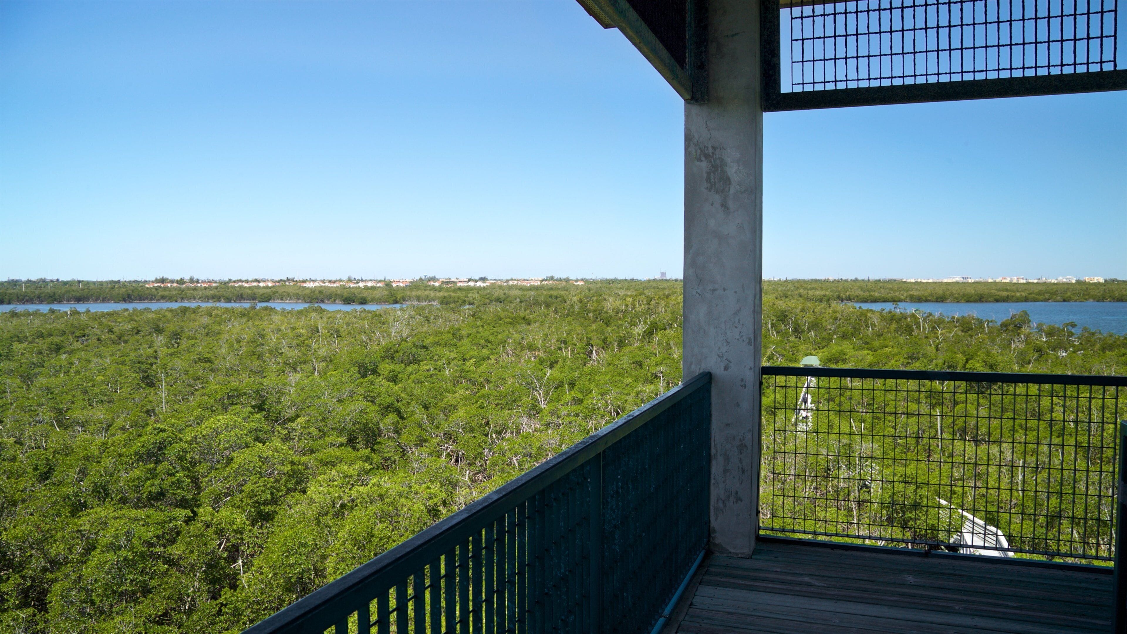 Anne Kolb Nature Center showing forest scenes, views and landscape views