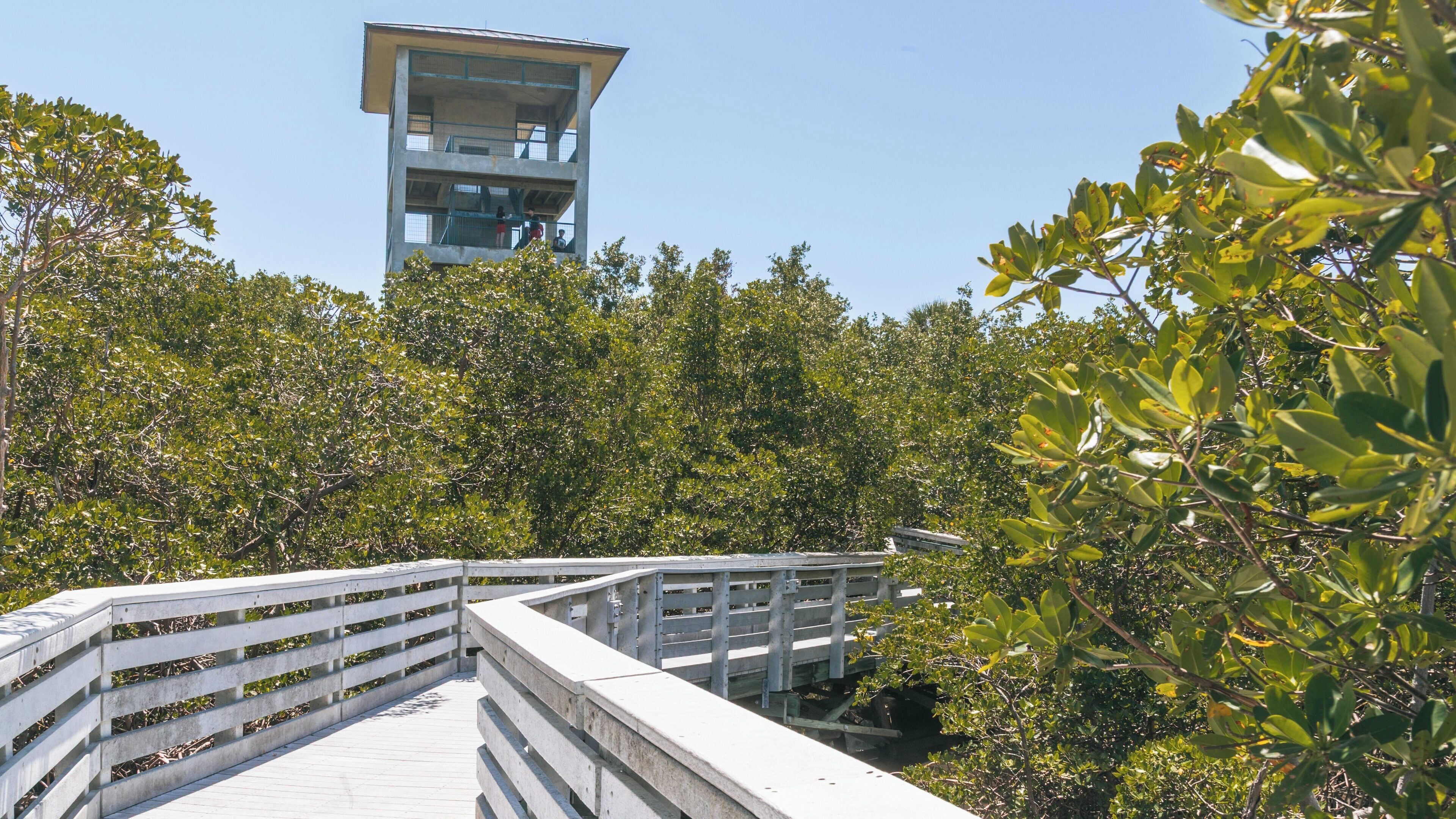Elevated viewing platform at Anne Kolb Nature Center surrounded by lush mangroves in Fort Lauderdale, Florida, on a clear sunny day