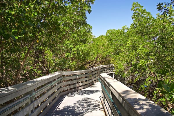 Anne Kolb Nature Center which includes a bridge and forests